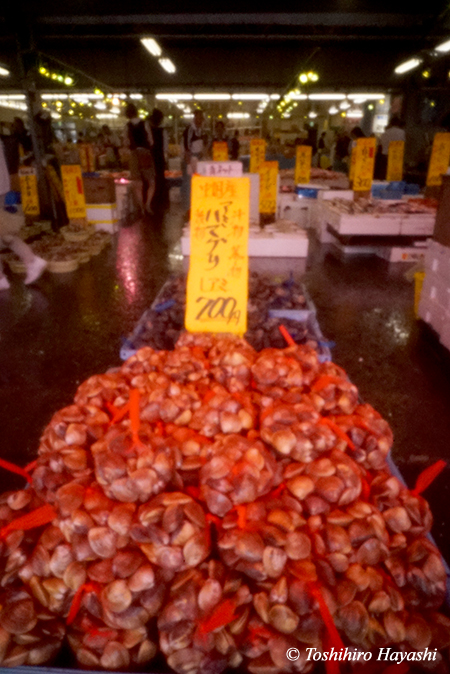 Nakaminato fish market #4